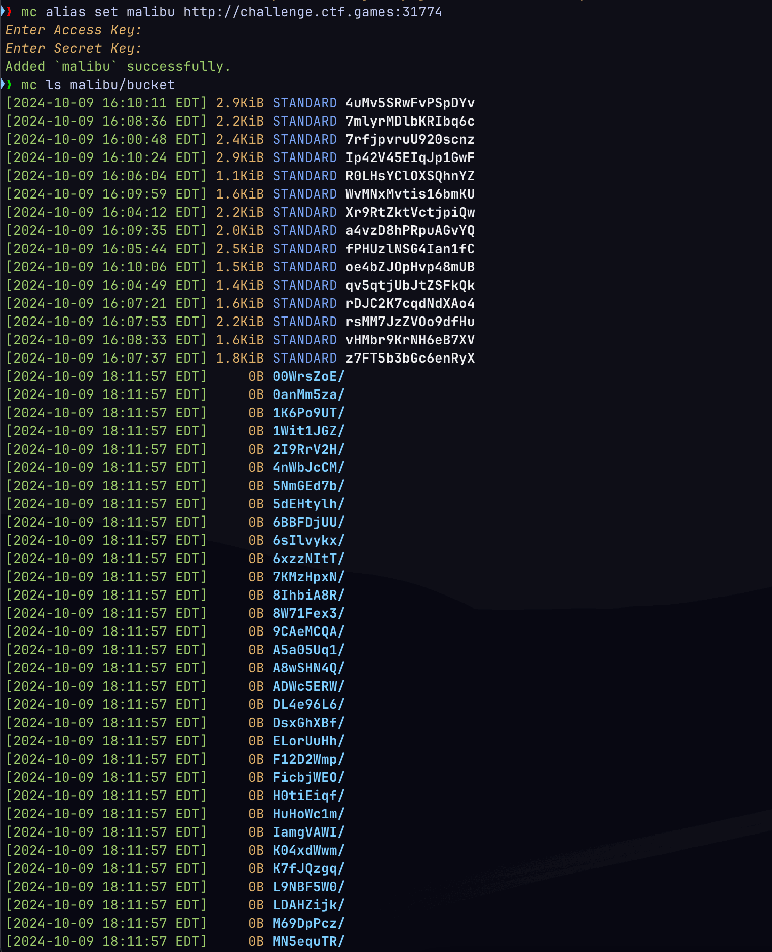 Image showing mc worked!