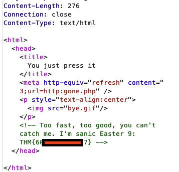 Image showing me getting the flag using burpsuite to capture it